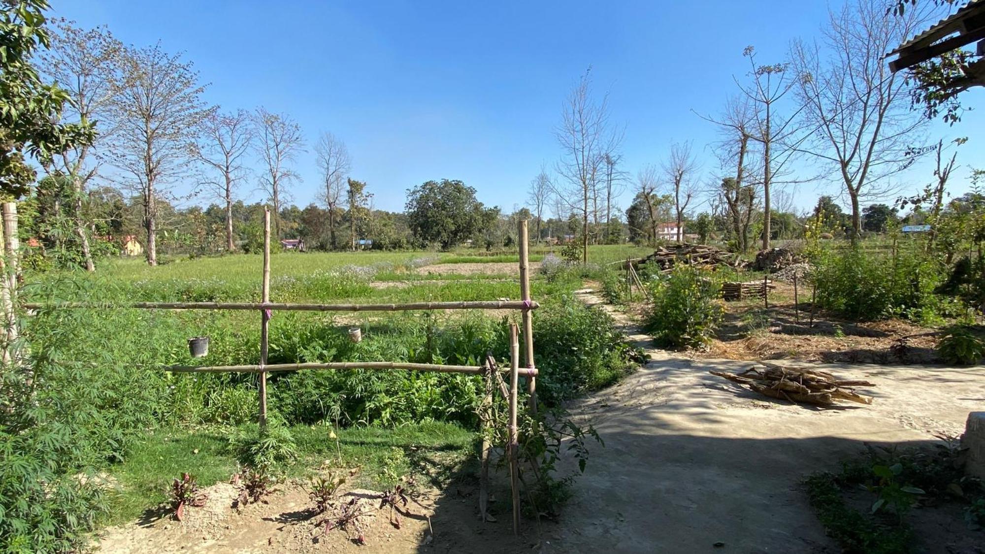 Nanu'S Bardiya Homestay Екстериор снимка